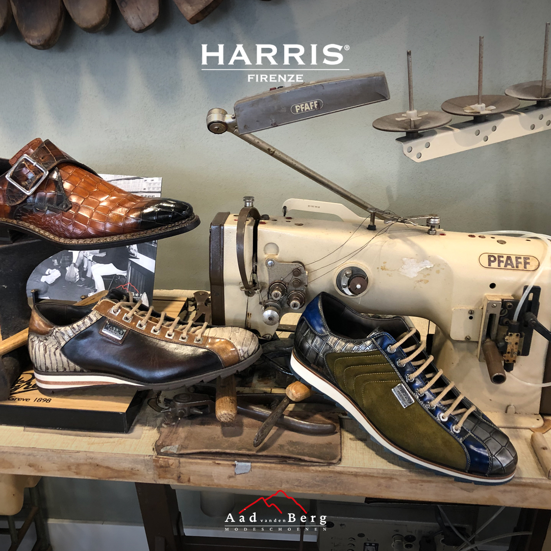 breuk tv boeren Harris en Magnanni bijzondere schoenen | Aad van den Berg modeschoenen