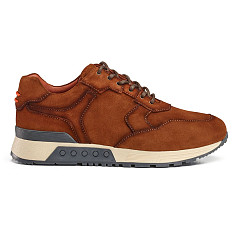 Greve Herenschoenen Sneakers bruin